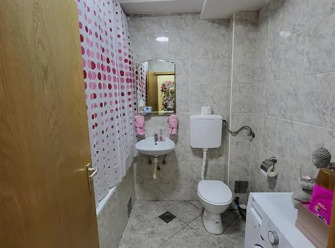 Golden Rose 公寓 洛兹尼察